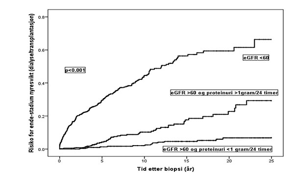 Figur 1: Risiko for endestadium nyresvikt med behov for dialyse eller transplantasjon i forskjellige prognostiske grupper av IgAN pasienter definert etter eGFR og proteinuri på diagnosetidspunkt.