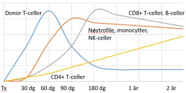 Figur 1. Tidsforløp for utviklingen av leukocyttall etter allogen ­hematopoietisk stamcelletransplantasjon.