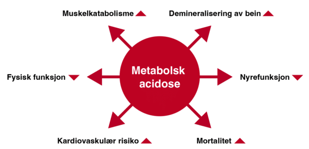 Figur 2. Sannsynlige konsekvenser av kronisk metabolsk acidose.